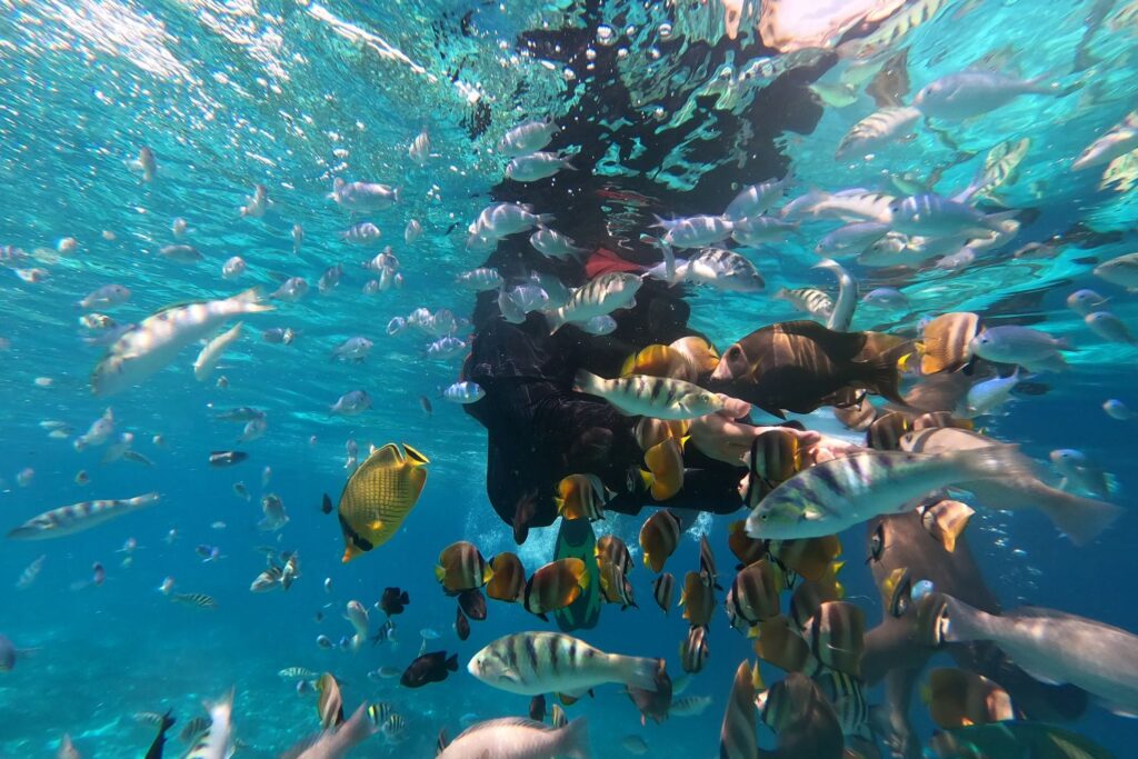 diver-surrounded-with-coclorful-fish