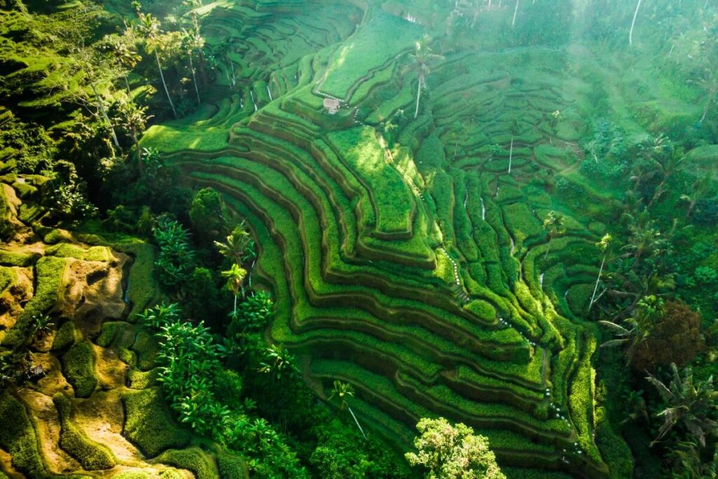 Is Bali Safe 