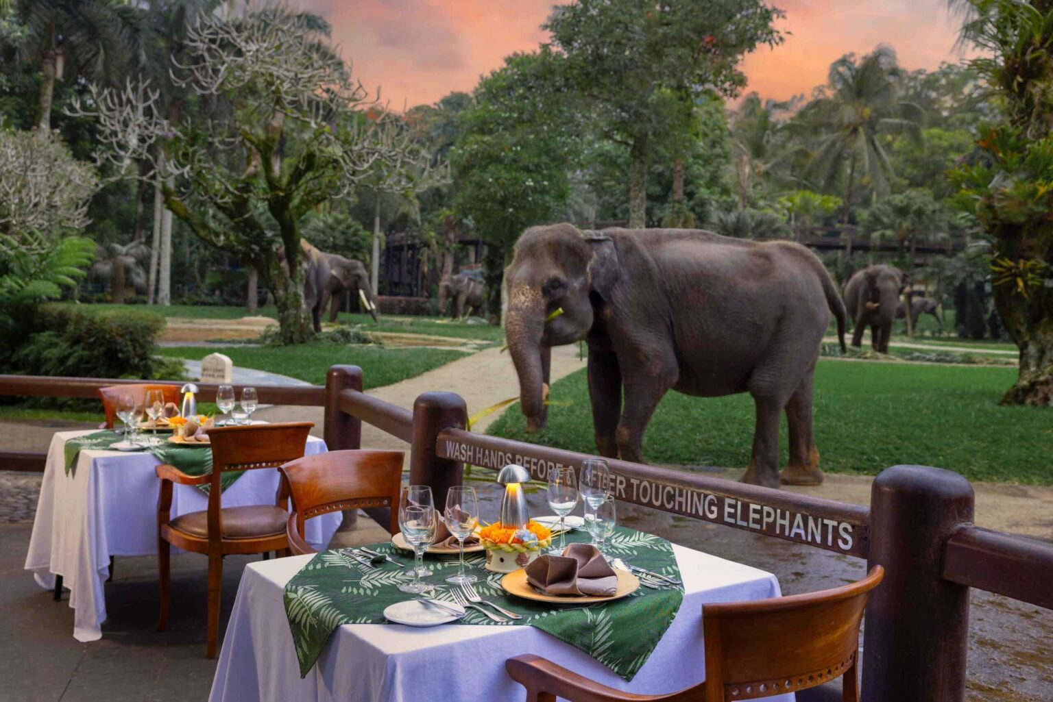 Elephant-Lodge-Ubud-1367_3