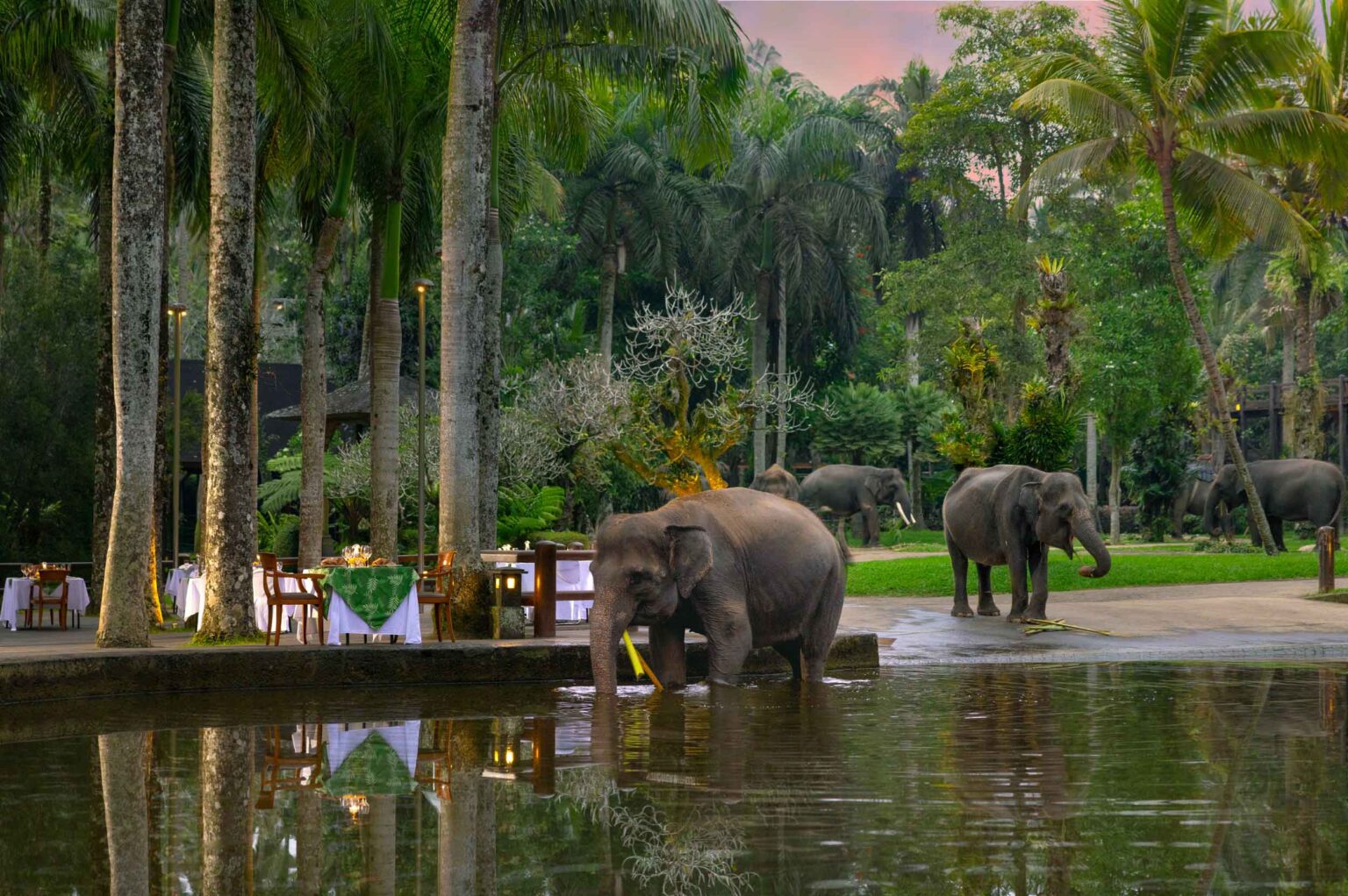 Elephant-Lodge-Ubud-1401A_2