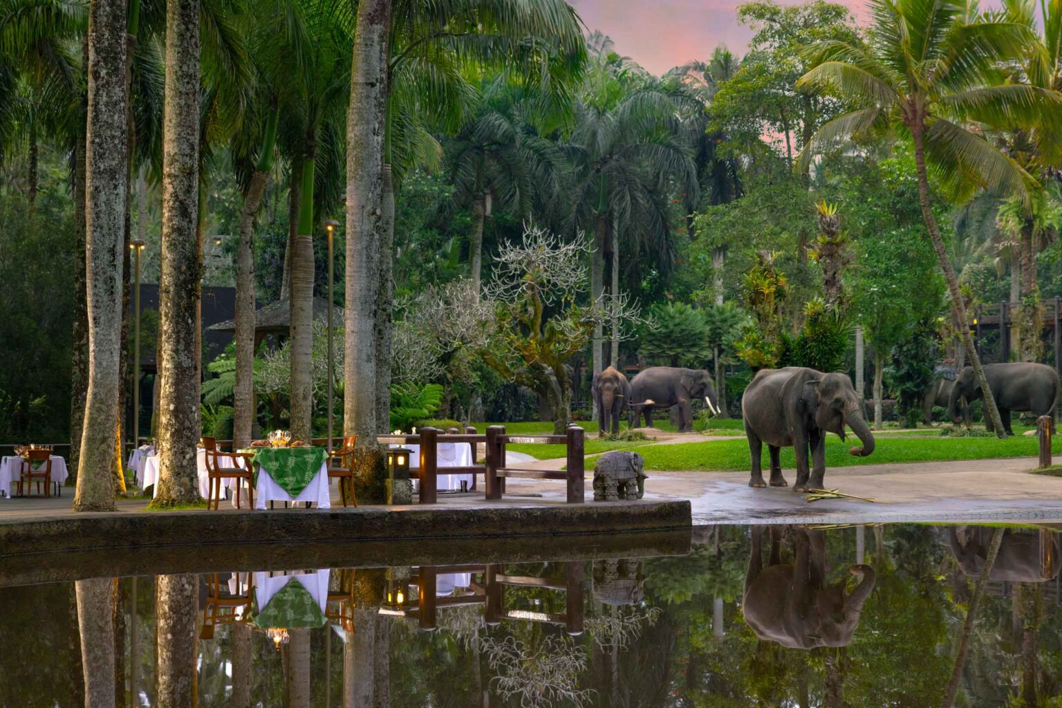 Elephant-Lodge-Ubud-1401_2