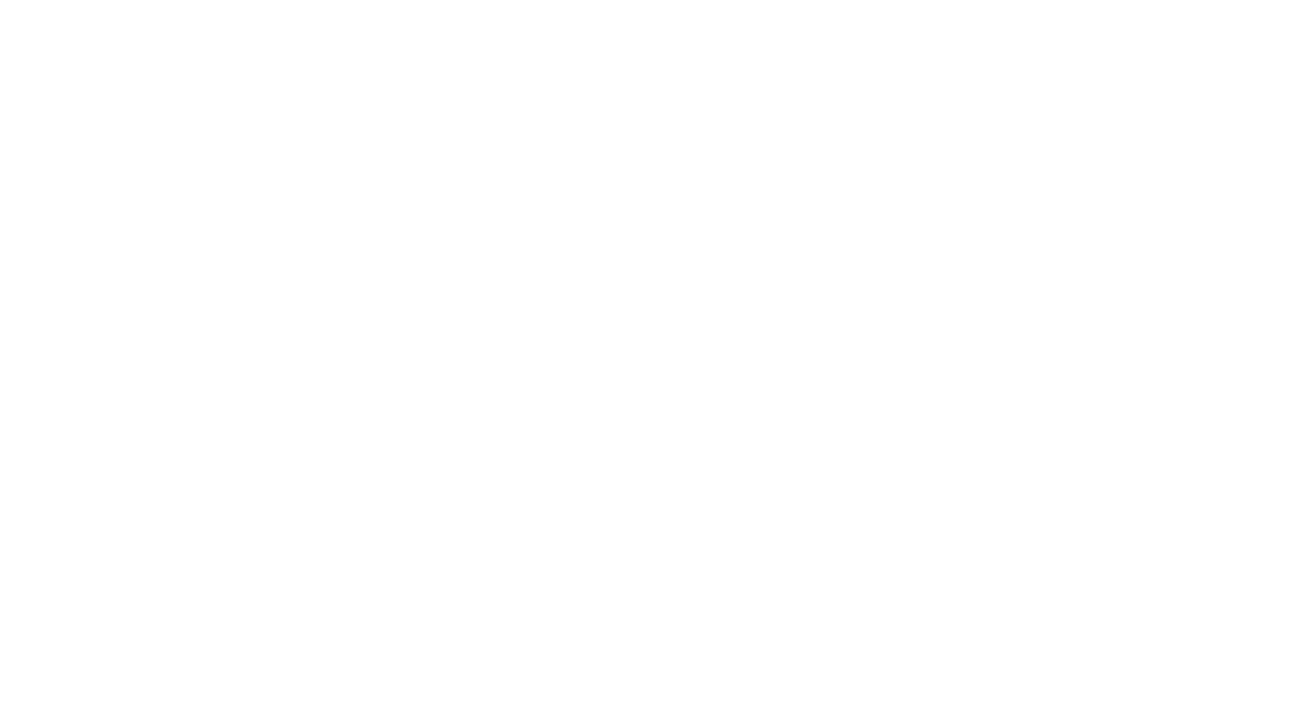 FINNS Holiday Logo