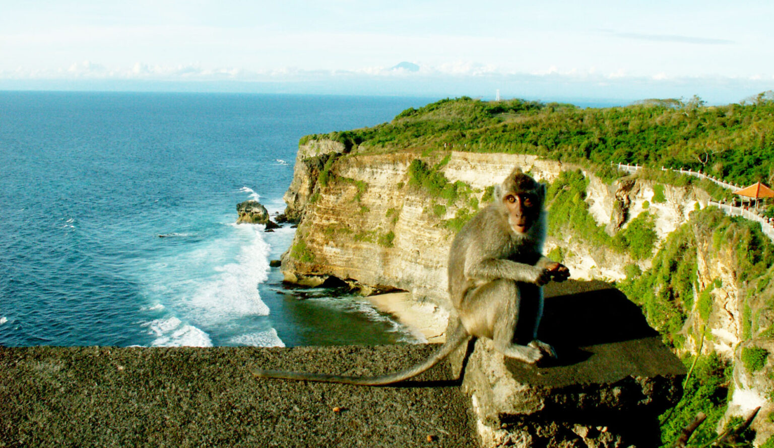 uluwatu-temple-monkey_20180823194234