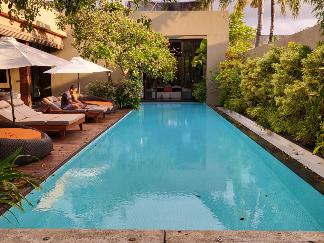Swimming pool surrounded by greenery at W Bali Seminyak